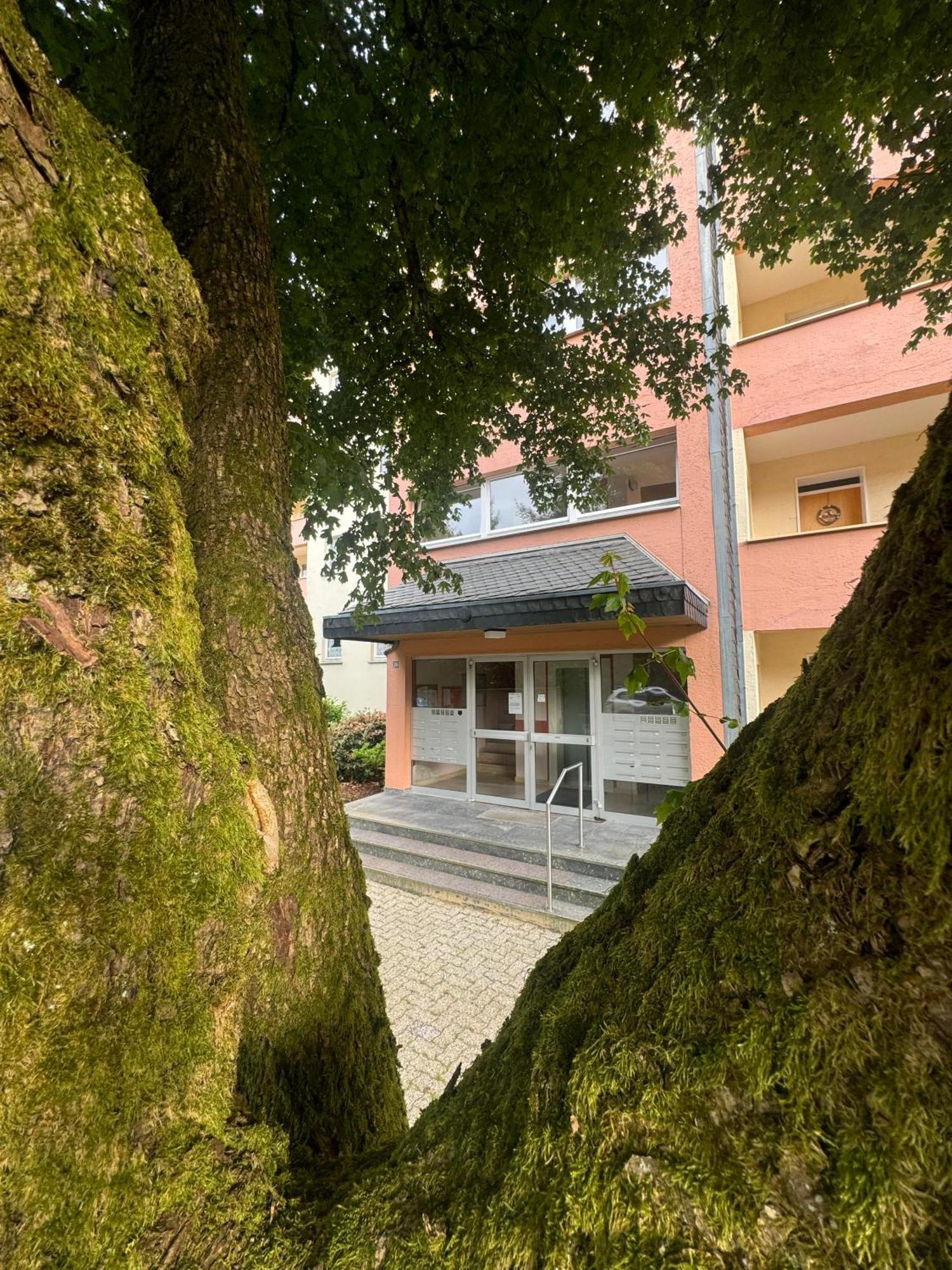 Ferienwohnung Brilon - Willingen Zewnętrze zdjęcie